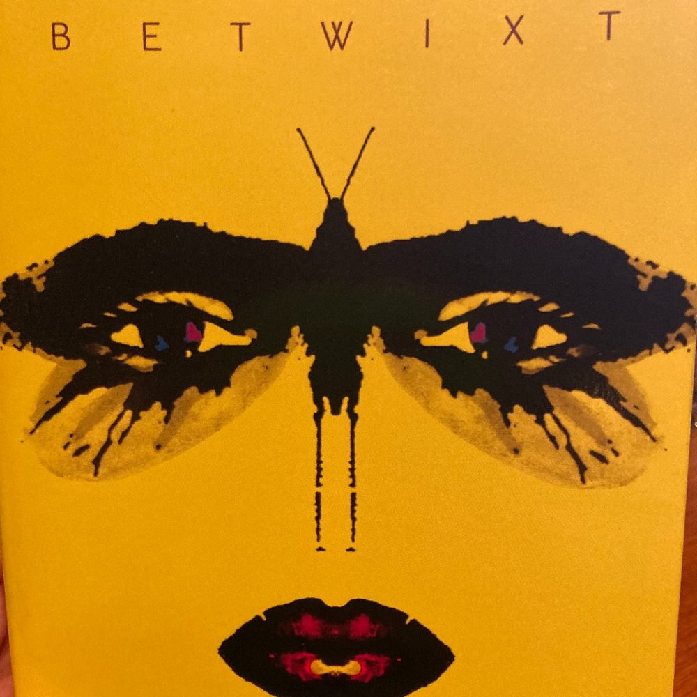 Book - Betwixt by Tara Bray Smith